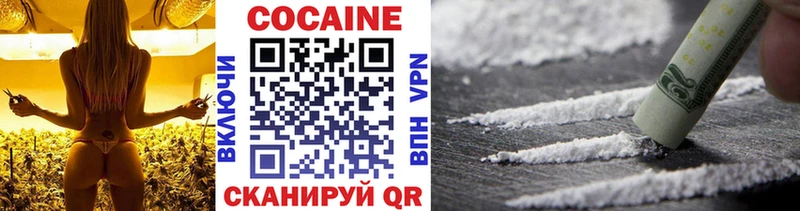 Кокаин Fish Scale  продажа наркотиков  omg tor  Черкесск 