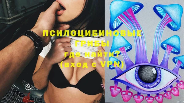 бошки Алзамай