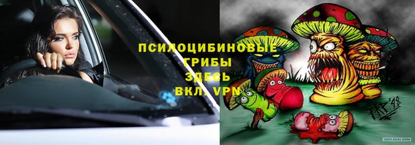бошки Алзамай